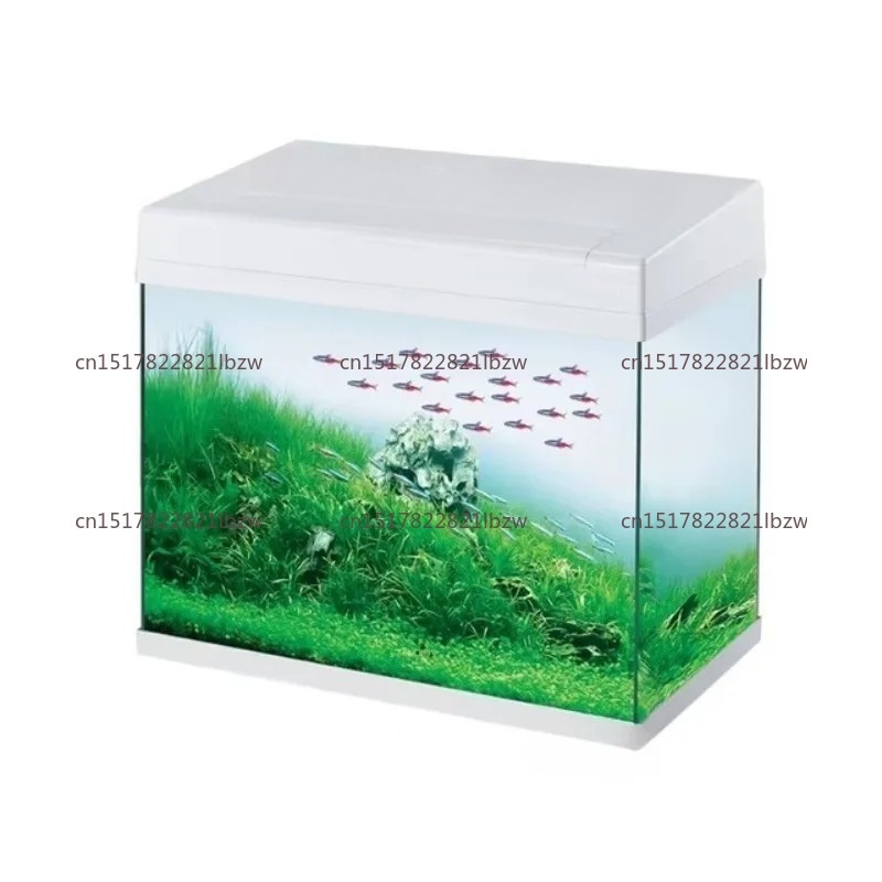 Aquarium Mini Fish - Acquario in Vetro Mini da Tavolo