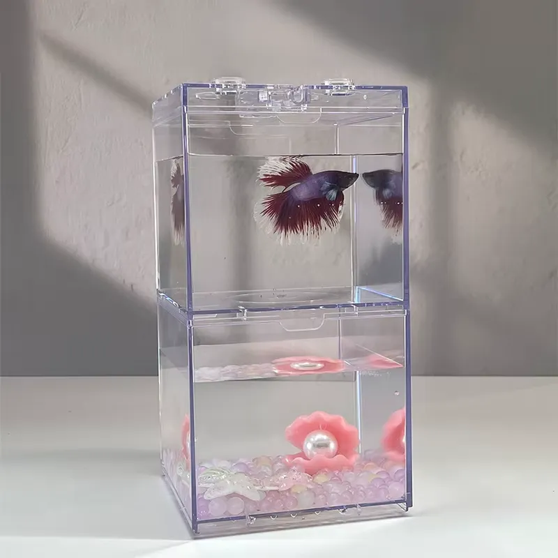 Aquarium Mini Fish - Mini Acquario Relaxlines, Decorazione da Tavolo,