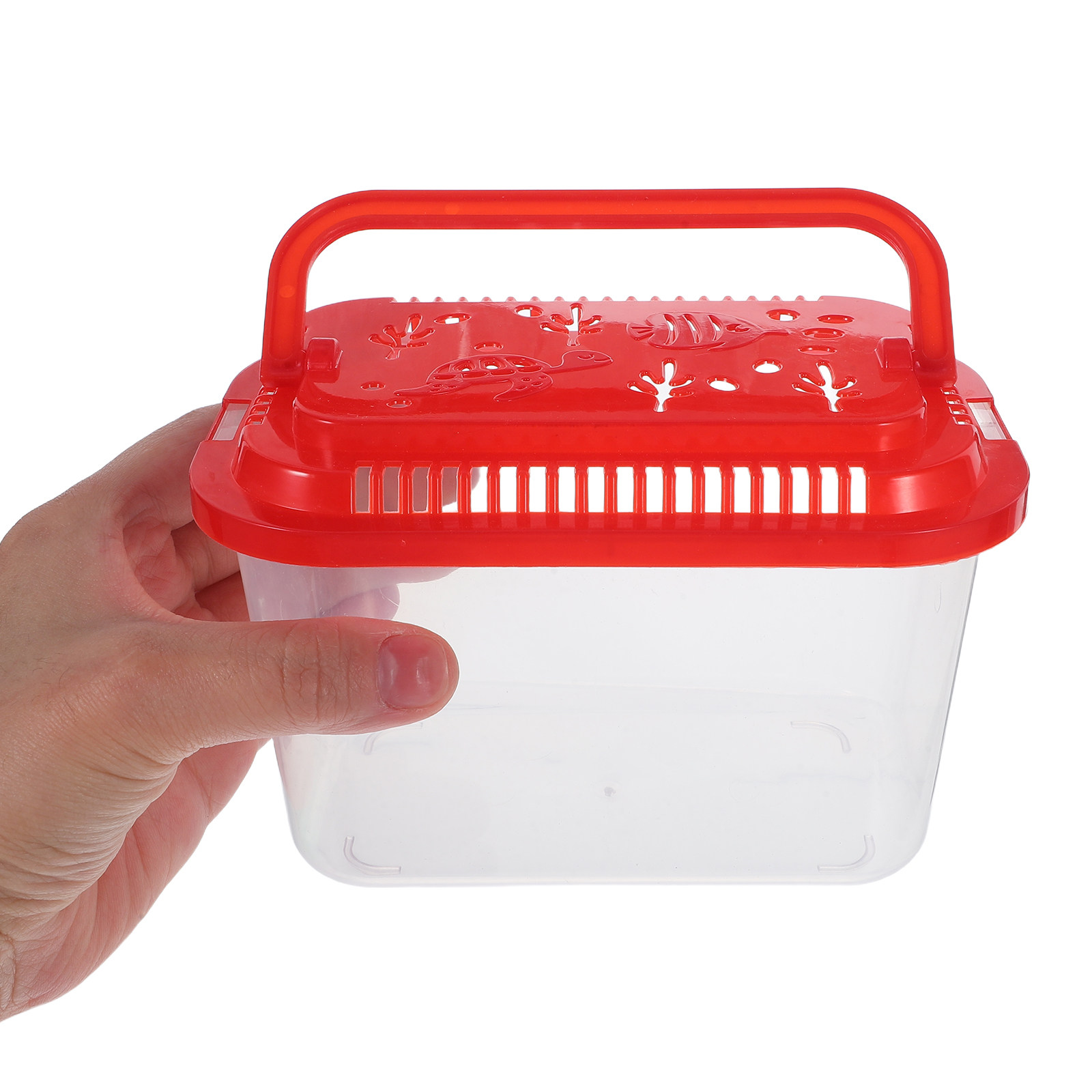 Aquarium Mini Fish - 5 Pezzi Contenitore per il Trasporto