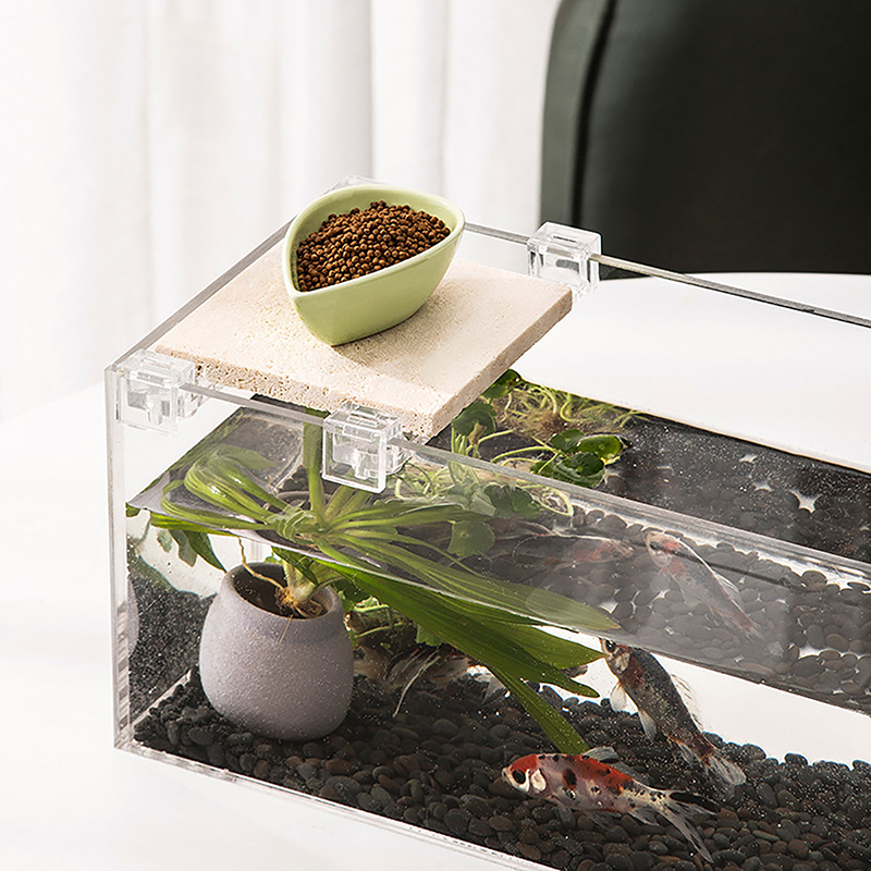 4 pezzi supporto per copertura - Aquarium Fish Real recensione e prezzo