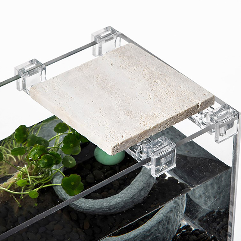 4 pezzi supporto per copertura - Aquarium Fish Real recensione e prezzo