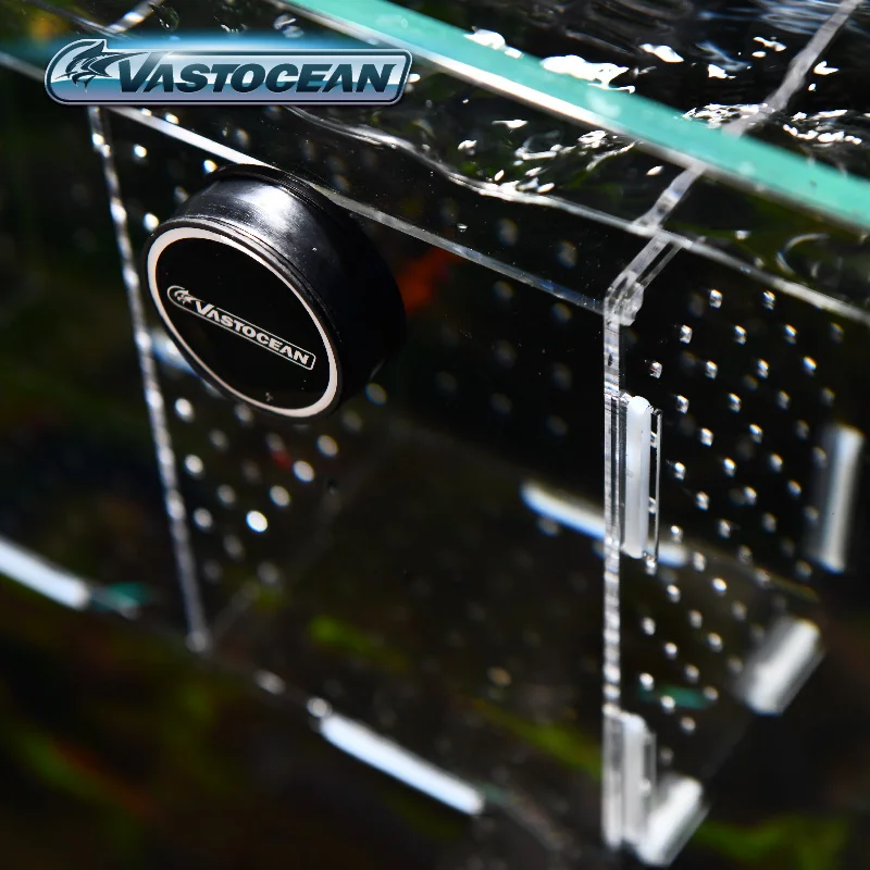 VASTOCEAN Acquario Magnetico C - Aquarium Fish Real recensione e prezzo