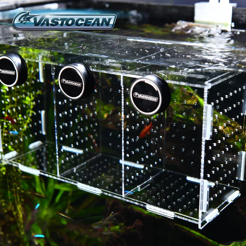 VASTOCEAN Acquario Magnetico C - Aquarium Fish Real recensione e prezzo