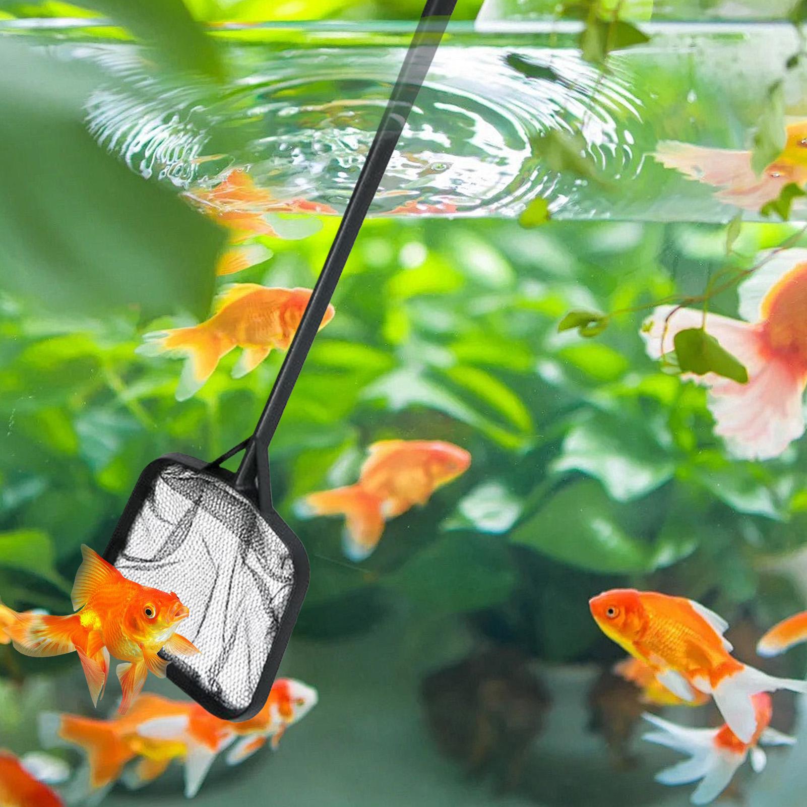 Reti per la Pulizia della Pisc - Aquarium Fish Tank Cleaner recensione e prezzo