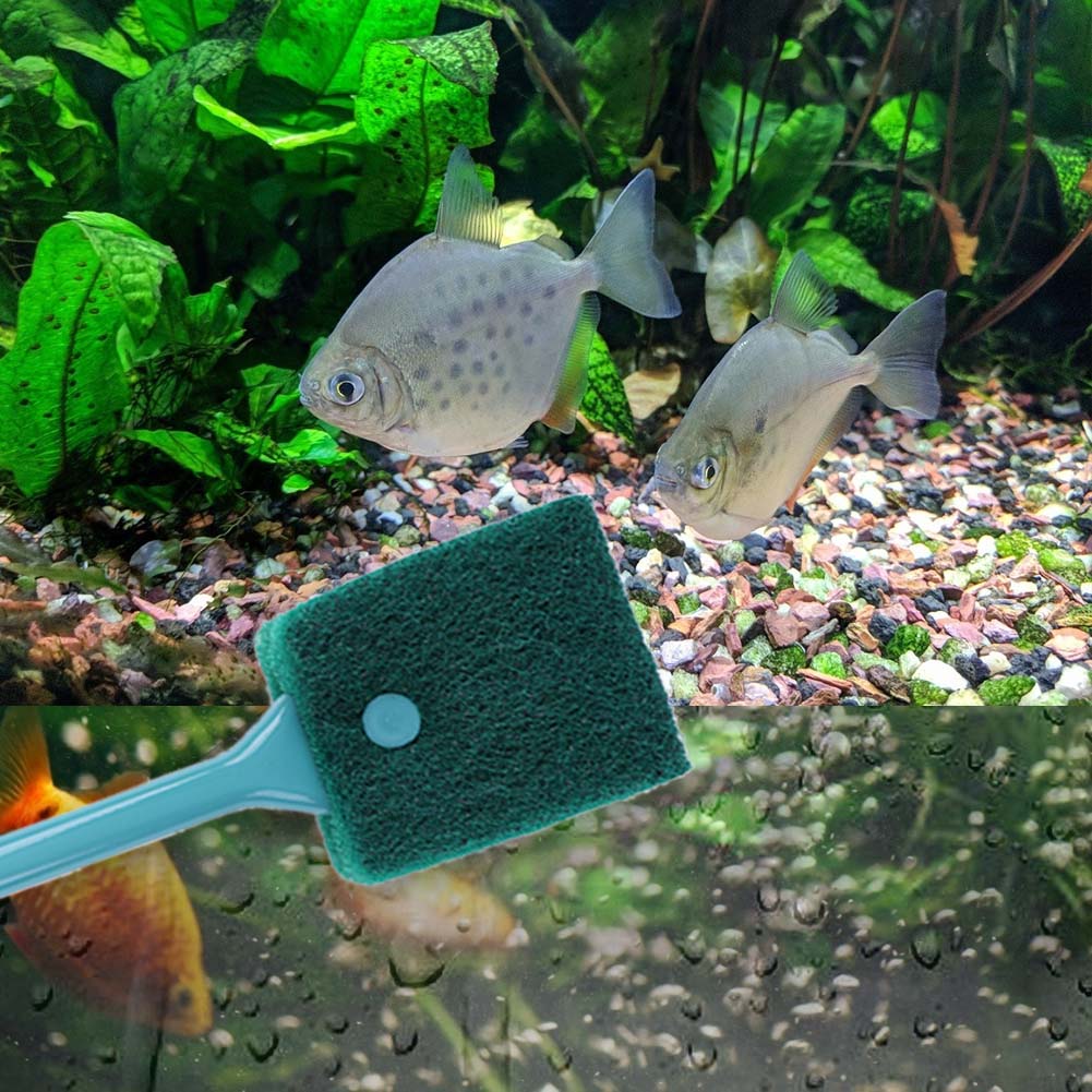 Spazzola per Pulizia Acquario  - Aquarium Fish Tank Cleaner recensione e prezzo