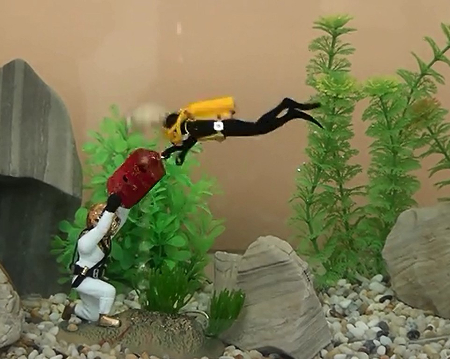 Decorazione per acquario caldo - Aquarium Fish Gif recensione e prezzo