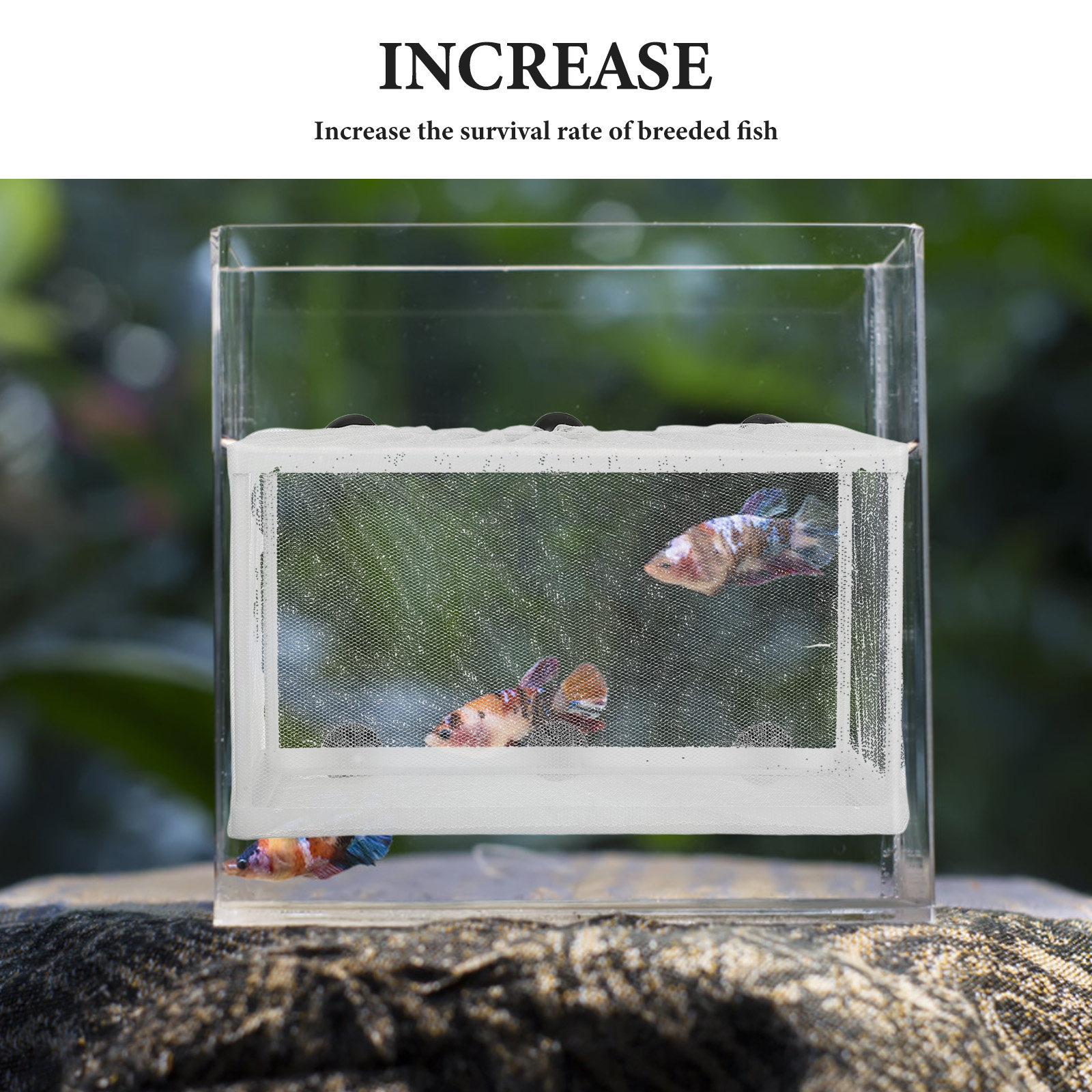 Rete per Pesci Acquario Incuba - Aquarium Fish Big Size recensione e prezzo