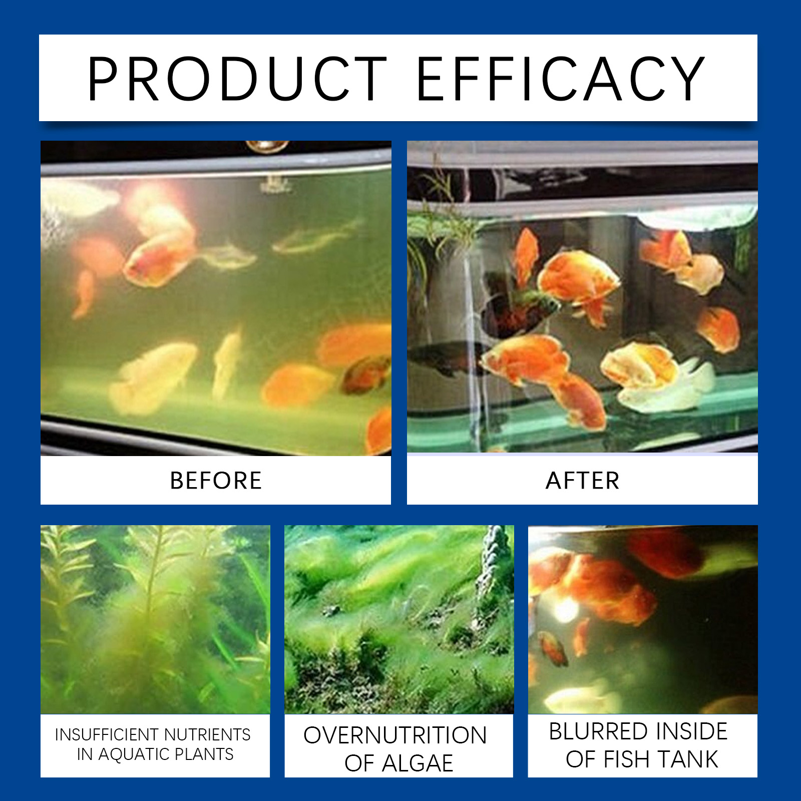 Chiarificatore d'acqua per acq - Aquarium Fish Tank Cleaner recensione e prezzo