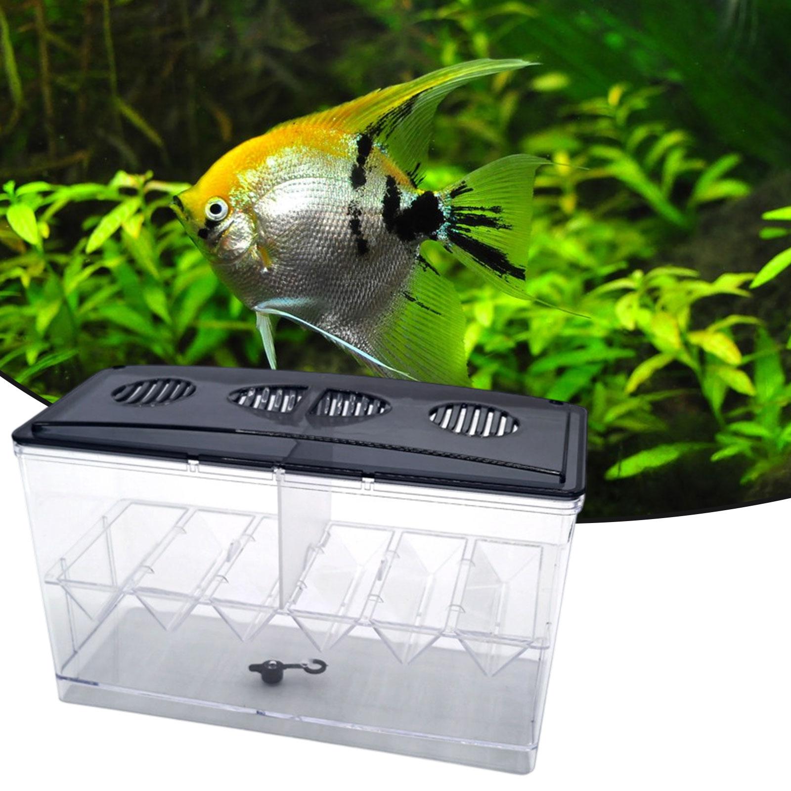 Scatola isolante galleggiante  - Aquarium Fish Tank Cleaner recensione e prezzo