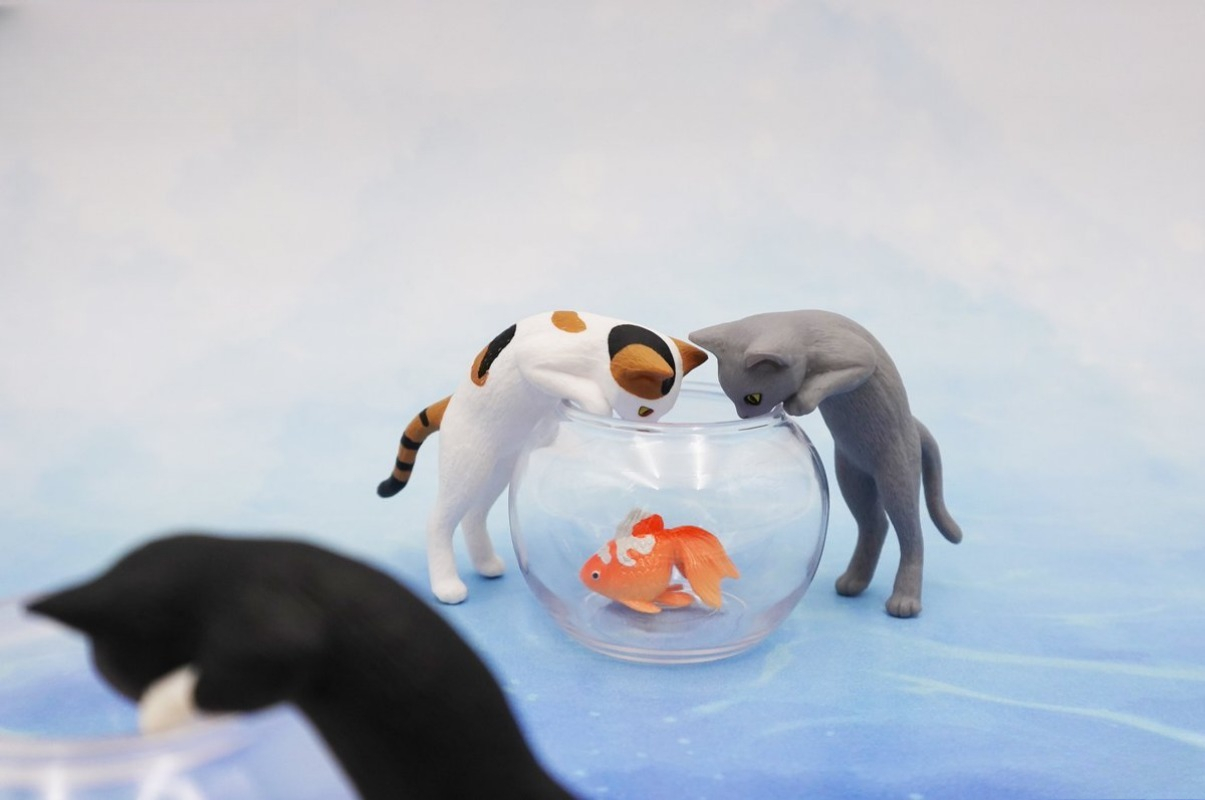 Giocattoli originali in capsul - Aquarium Fish Japan recensione e prezzo