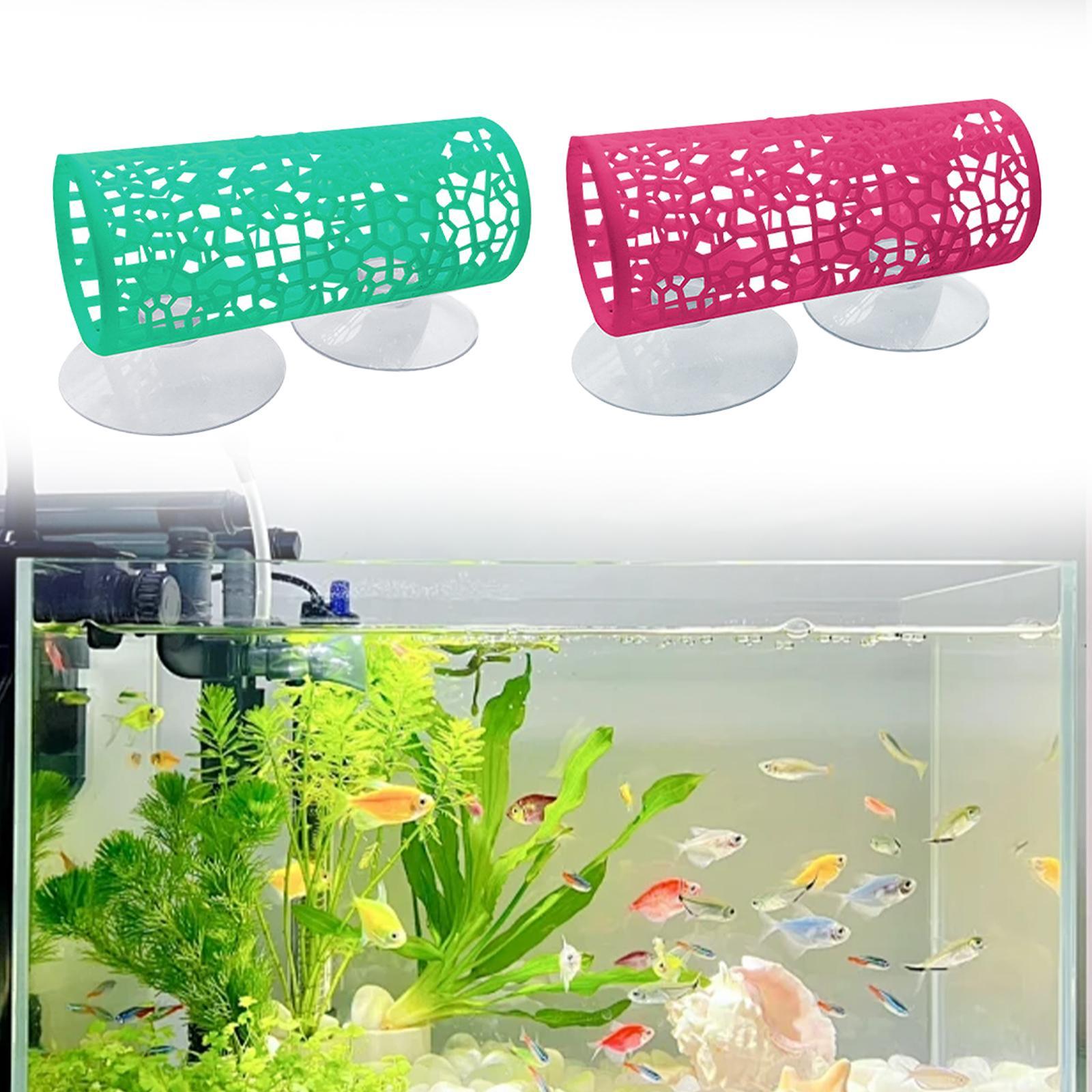 Tunnel per Betta - Nascondigli - Aquarium Fisch recensione e prezzo