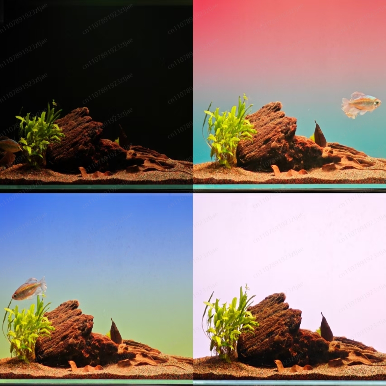 Pannello Luminoso in Acrilico  - Aquarium Led Light recensione e prezzo