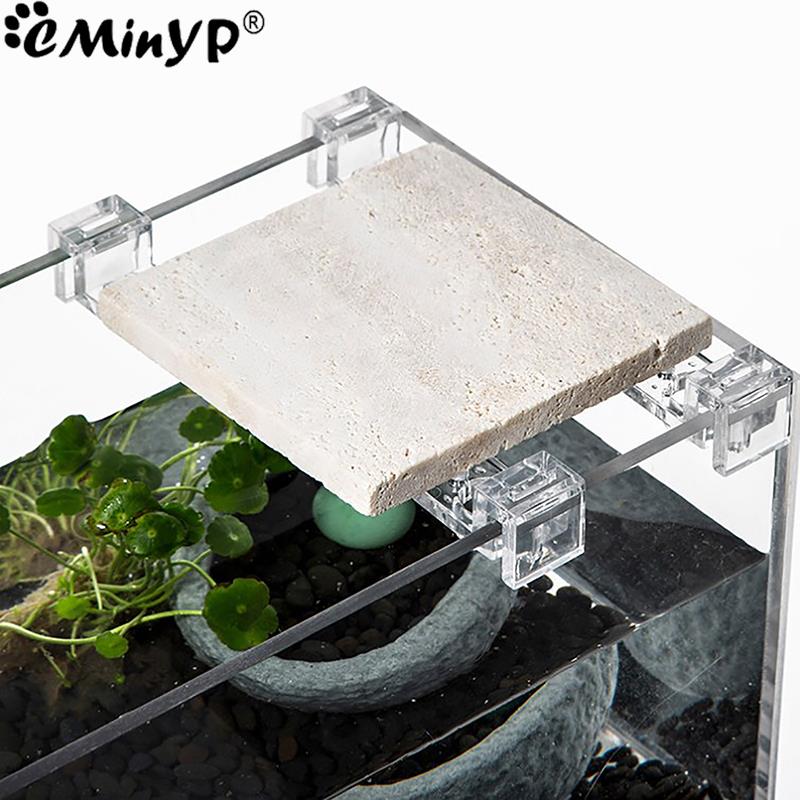 4 pezzi clip acriliche per acq - Aquarium Fish Real recensione e prezzo