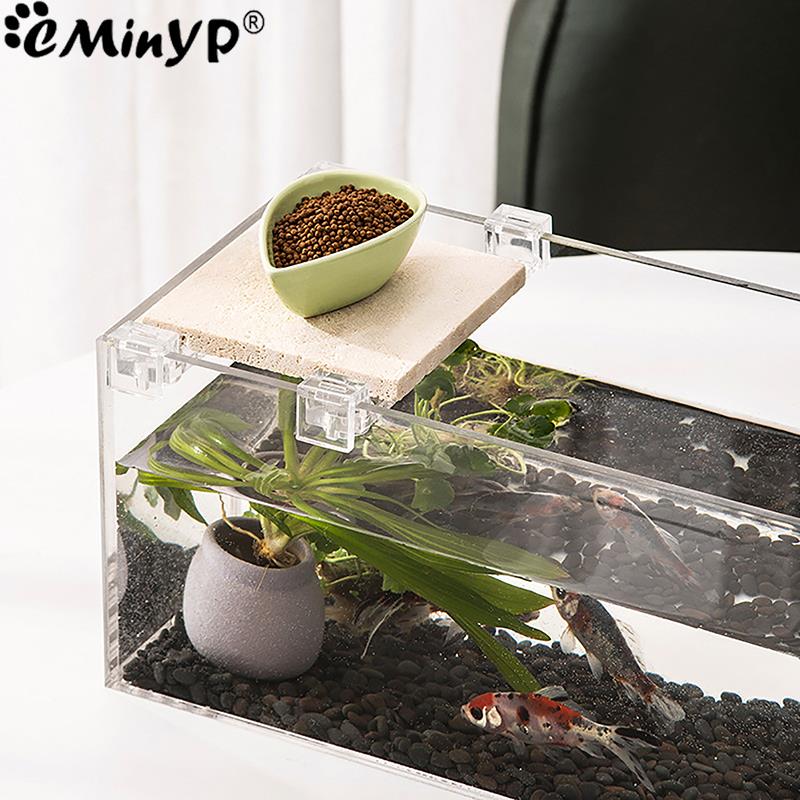 4 pezzi clip acriliche per acq - Aquarium Fish Real recensione e prezzo