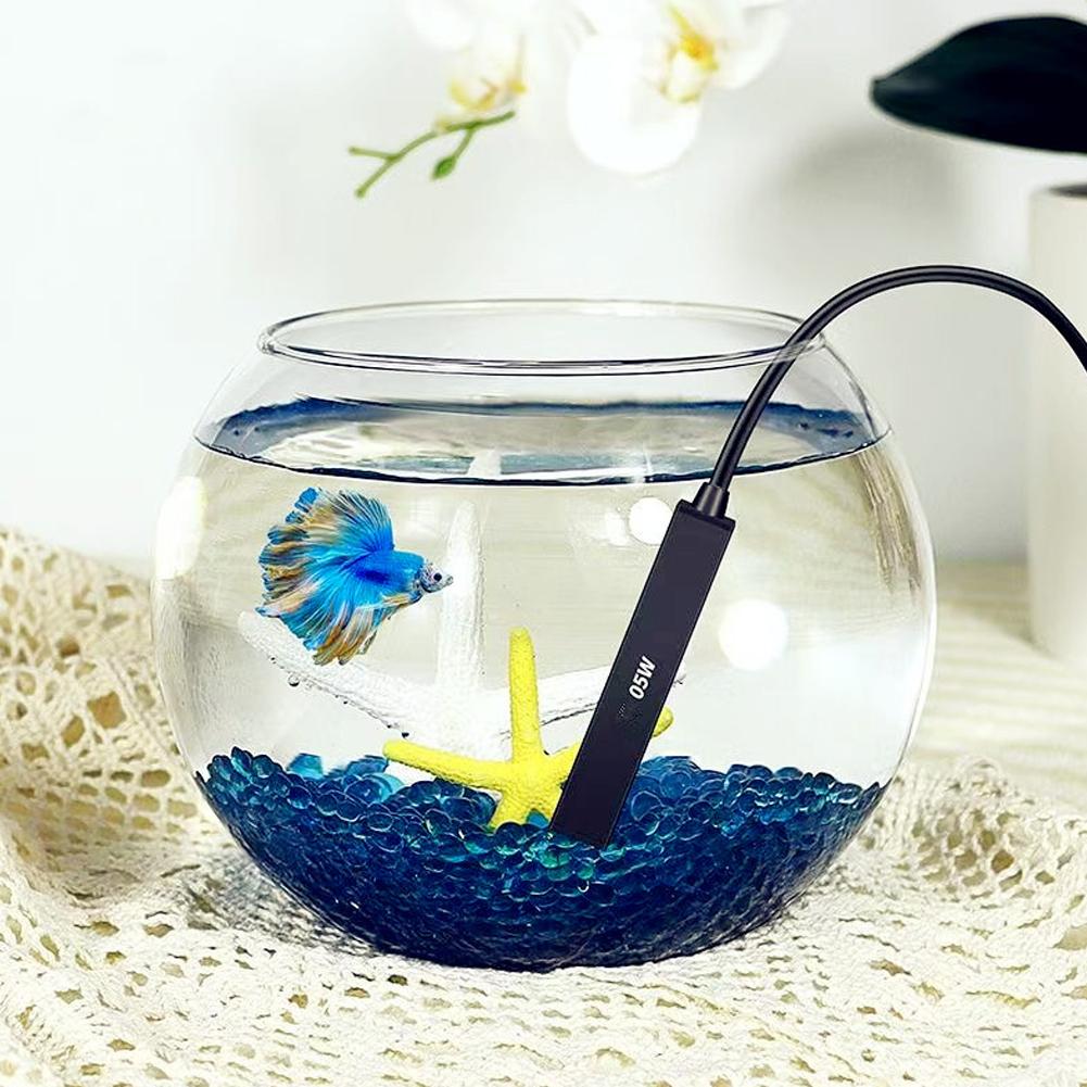 Mini Riscaldatore USB per Acqu - Aquarium Fish Real recensione e prezzo