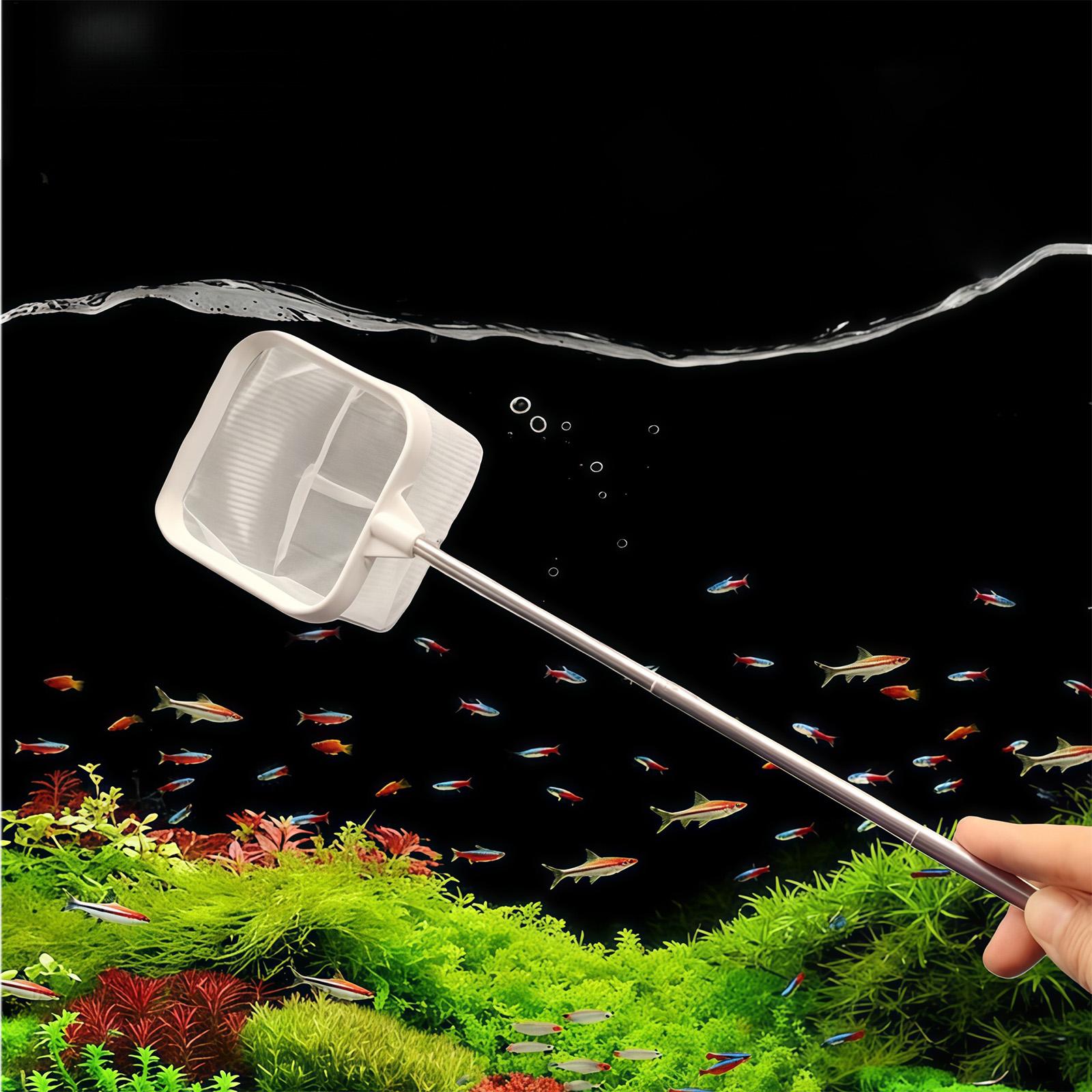 Raccoglitore di foglie per acq - Aquarium Fish Long recensione e prezzo