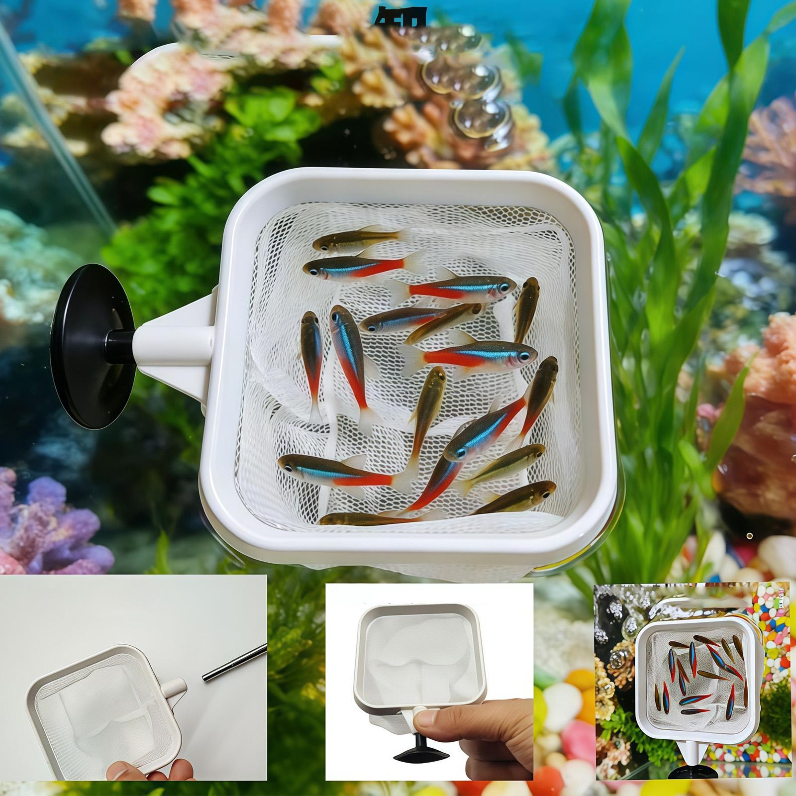 Raccoglitore di foglie per acq - Aquarium Fish Long recensione e prezzo