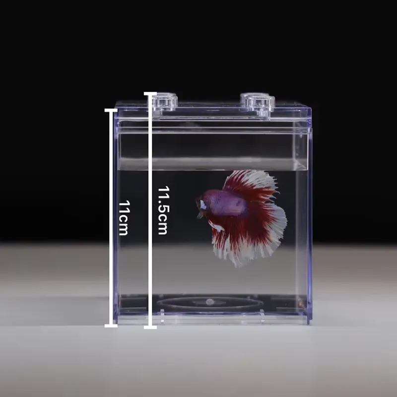 Mini Acquario Relaxlines, Deco - Aquarium Mini Fish recensione e prezzo