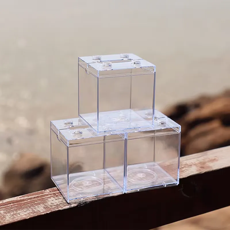 Mini Acquario Relaxlines, Deco - Aquarium Mini Fish recensione e prezzo