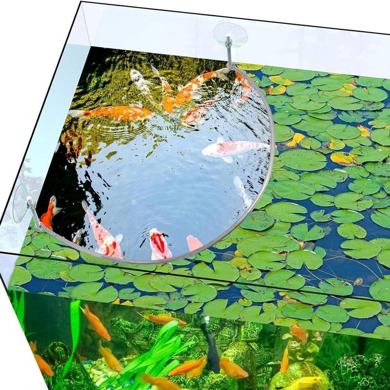 Anello di alimentazione per pe - Aquarium Fish Real recensione e prezzo