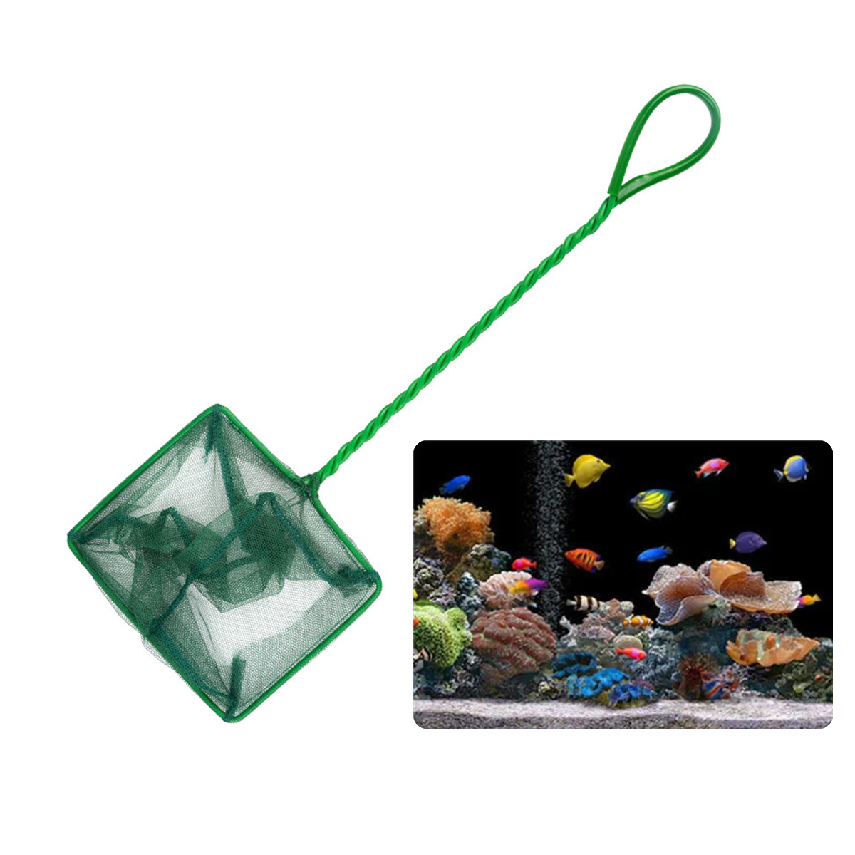 3 ~ 10 pollici portatile in ny - Aquarium Fish Long recensione e prezzo