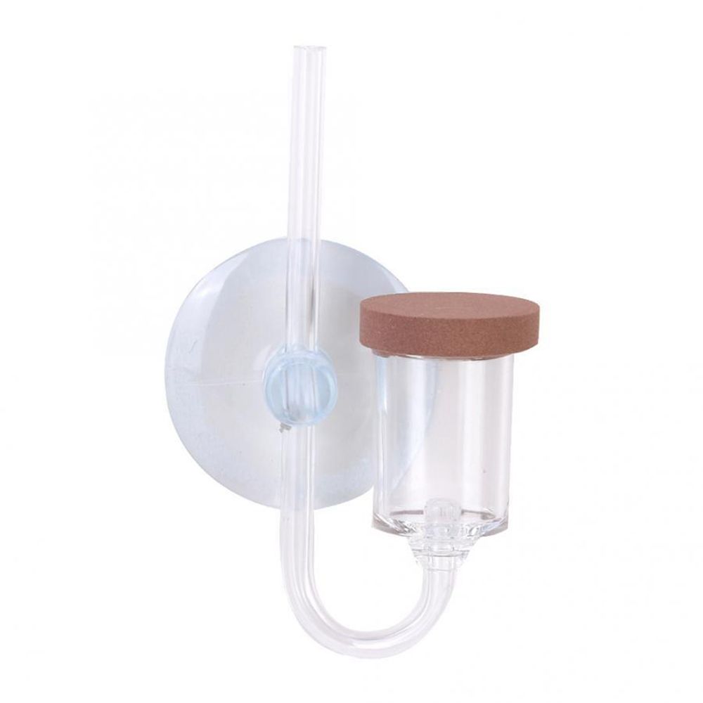 Mini acquario acrilico Pianta  - Aquarium Fish Real recensione e prezzo