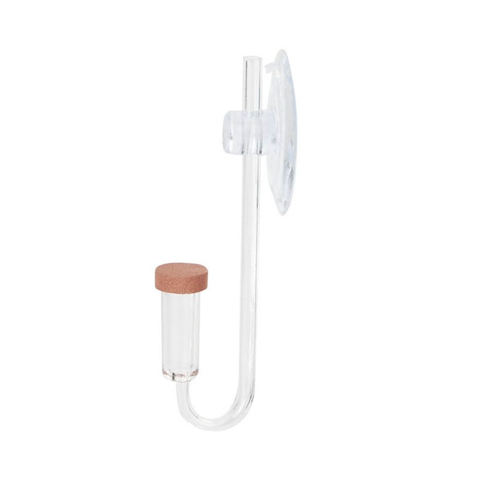 Mini acquario acrilico Pianta  - Aquarium Fish Real recensione e prezzo