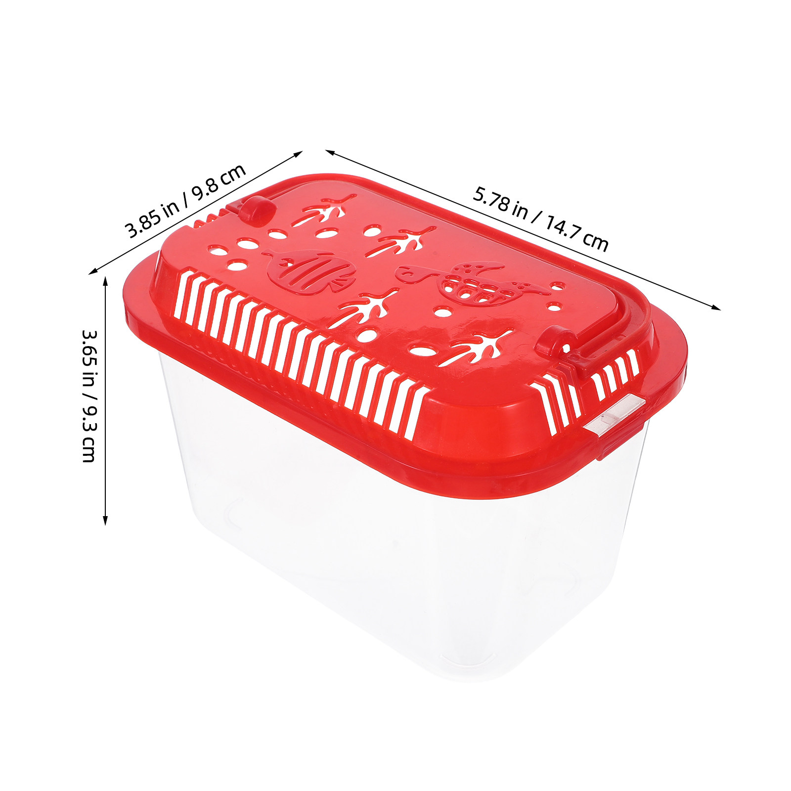5 Pezzi Contenitore per il Tra - Aquarium Mini Fish recensione e prezzo