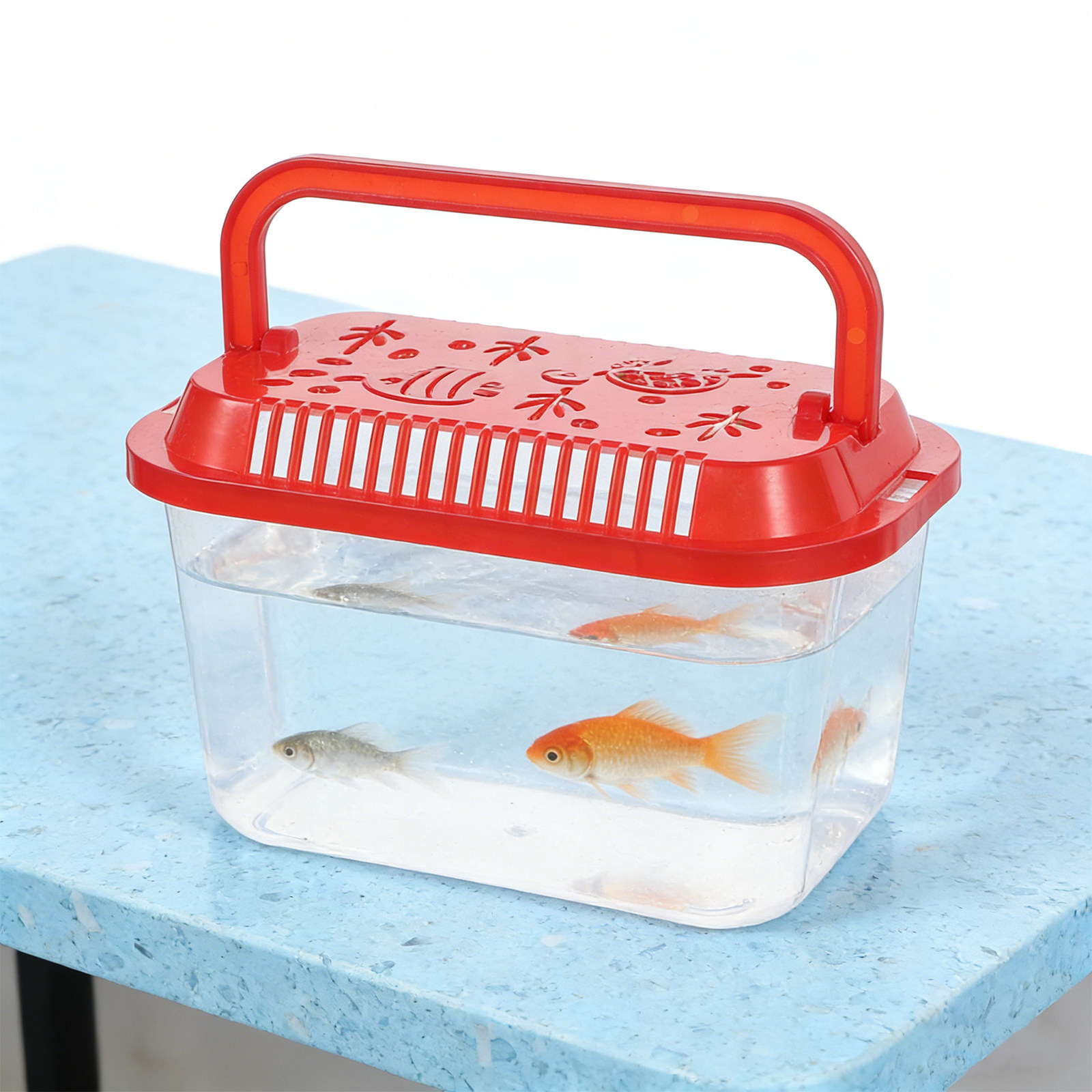 5 Pezzi Contenitore per il Tra - Aquarium Mini Fish recensione e prezzo