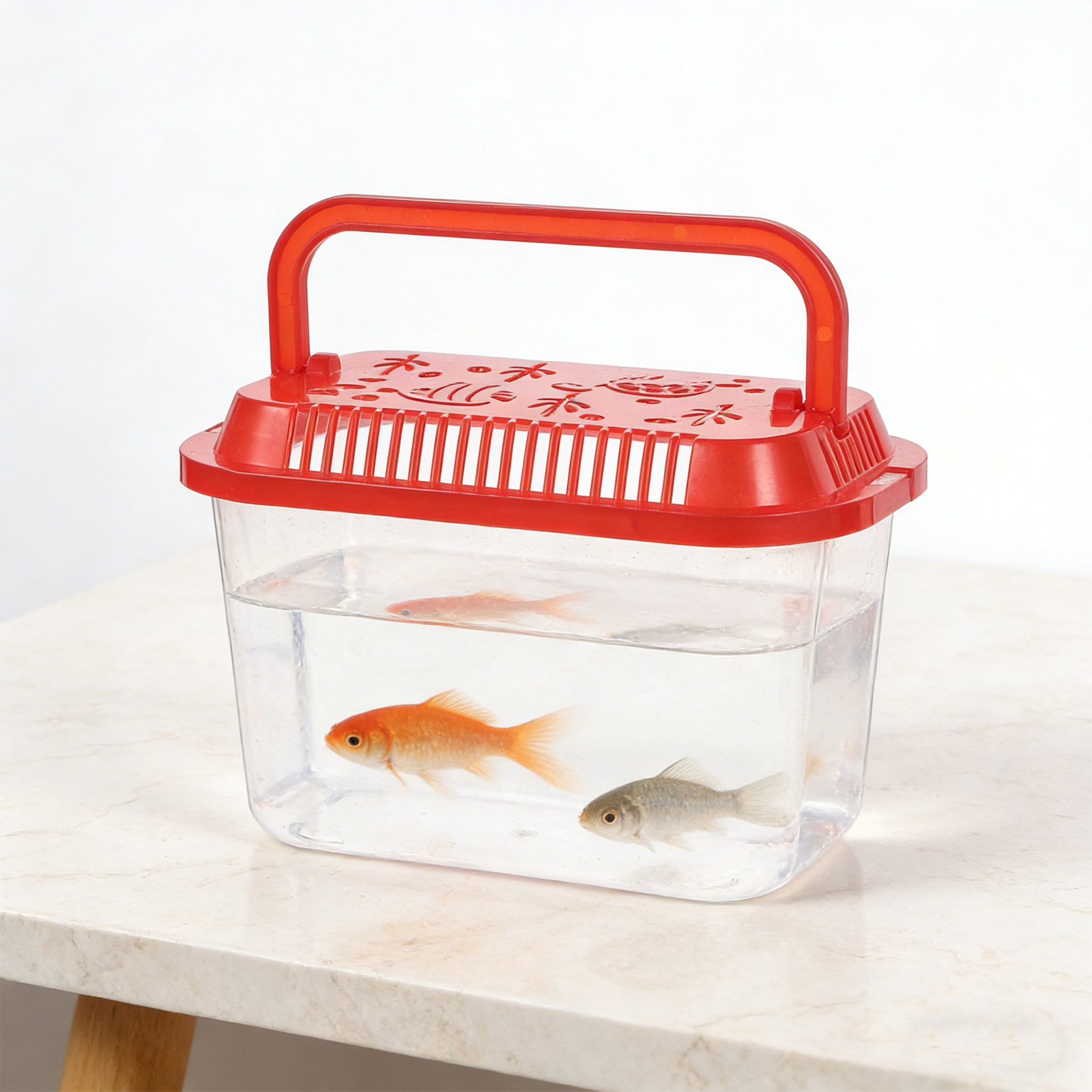 5 Pezzi Contenitore per il Tra - Aquarium Mini Fish recensione e prezzo