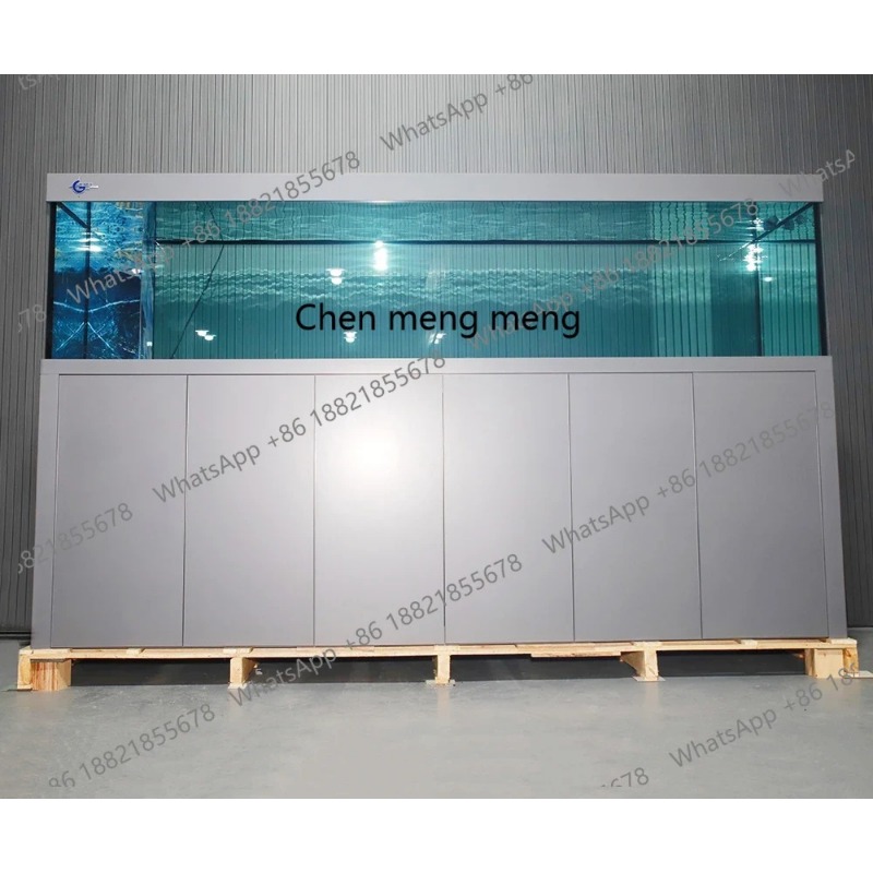 Acquario Silenzioso in Vetro d - Aquarium Fish Big Size recensione e prezzo