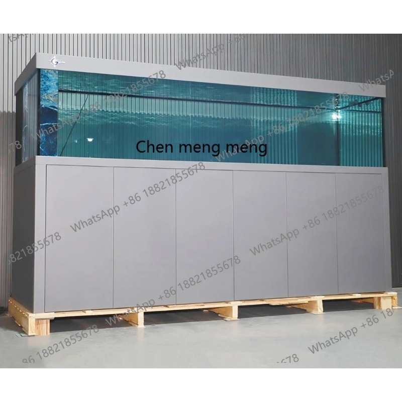 Acquario Silenzioso in Vetro d - Aquarium Fish Big Size recensione e prezzo