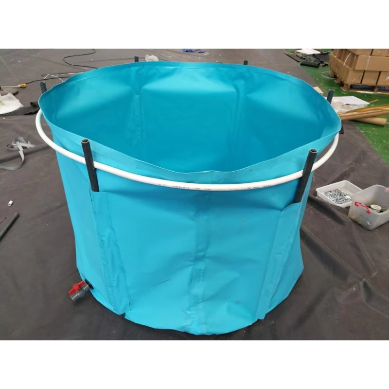 Vasca per Pesci da Allevamento - Aquarium Fish Big Size recensione e prezzo
