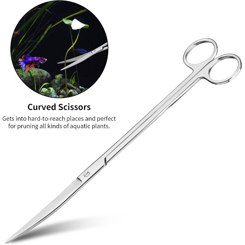 Kit per Acquario e Terrario: P - Aquarium Fish Long recensione e prezzo