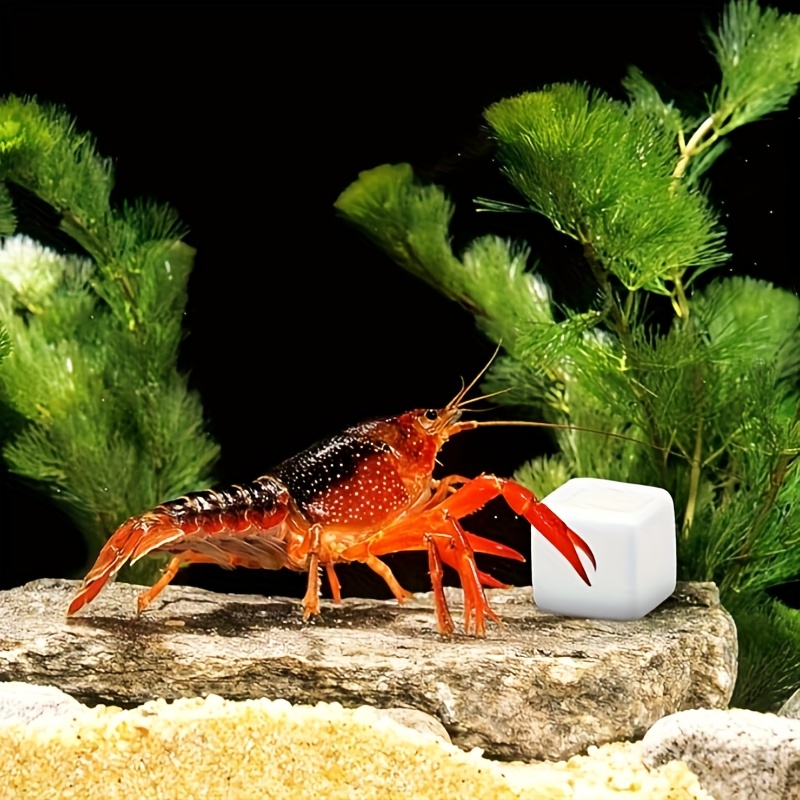 6 pezzi acquario calcio blocco - Aquarium Fish Lego recensione e prezzo